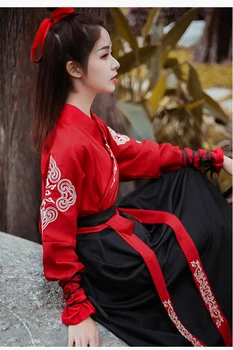 Tang-Dynastiet Gamle Tøj Hanfu Kjole Klassisk Sværdkæmper Tøj Traditionel Kinesisk Stil Nederdel og Top Cosplay Kostume