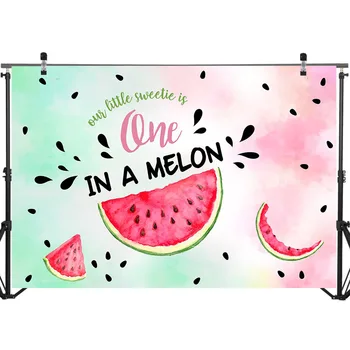 Den ene i en Melon Fødselsdag Baggrund Vandmelon Part 1st Fødselsdag Baggrund Sommer Pink Melon Fest Dekoration Baggrunde